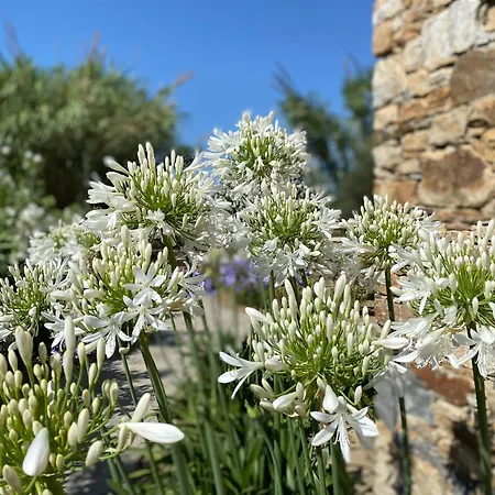 Villa Seaside Naxos •